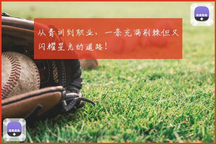 从青训到职业，一条充满荆棘但又闪耀星光的道路！