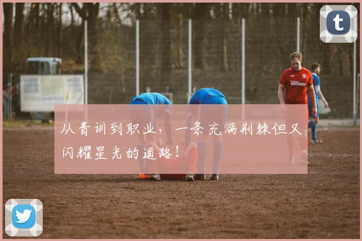 从青训到职业，一条充满荆棘但又闪耀星光的道路！